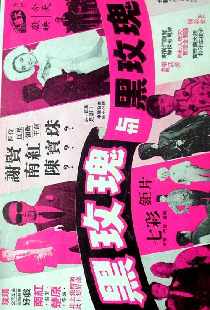 黑玫瑰與黑玫瑰