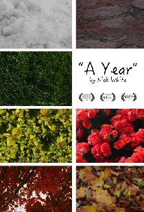 A Year