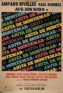 Ave sin nido