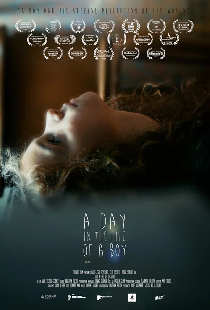 A Day in the Life of a Boy