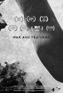 Wax And Feathers