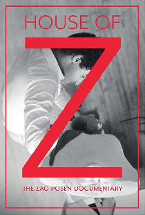 Дом Z