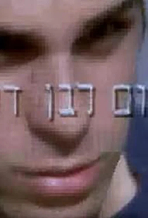 Shalom Leben Dodi