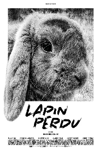 Lapin perdu