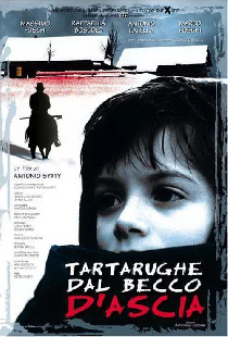 Tartarughe dal becco d'ascia