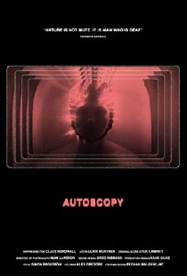 Autoscopy