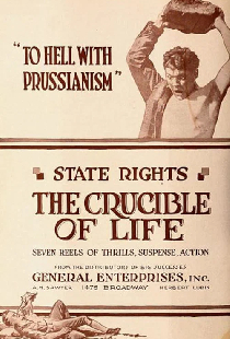 The Crucible of Life