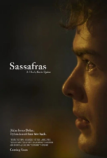 Sassafras