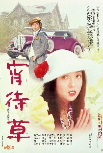 宵待草