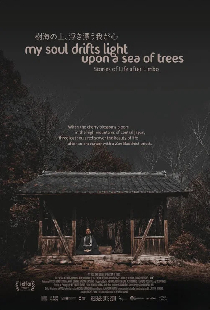 My Soul Drifts Light Upon a Sea of Trees