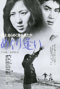鴎よ、きらめく海を見たか　めぐり逢い