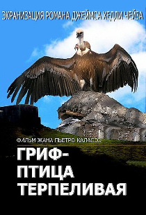 Гриф – птица терпеливая