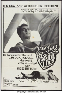 Passion Fever