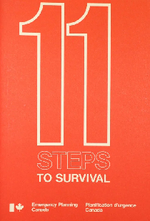 11 Steps to Survival