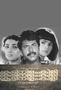 കൂട്ടിനിളംകിളി