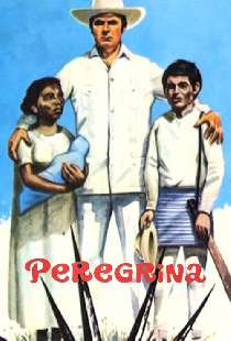 Перегрина