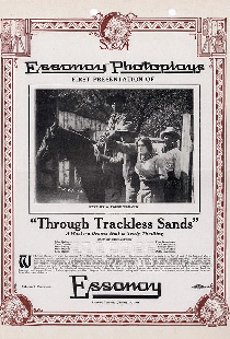 Through Trackless Sands