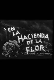 En la Hacienda de la Flor