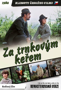 За кустами терновника