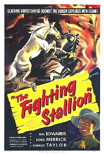 The Fighting Stallion