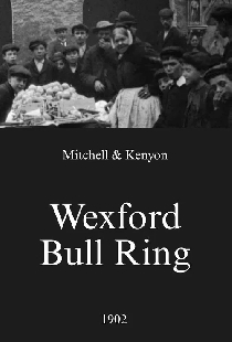 Wexford Bull Ring