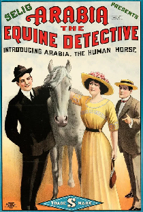 Arabia: The Equine Detective
