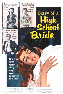 The Diary of a High School Bride