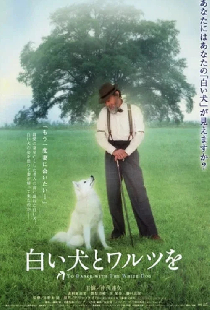 白い犬とワルツを