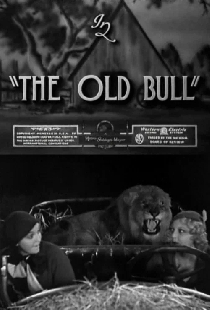 The Old Bull