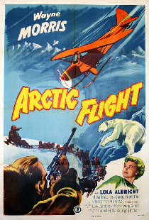 Arctic Flight