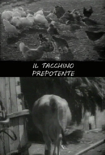 Il tacchino prepotente