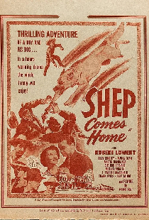 Shep Comes Home