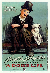 Собачья жизнь
