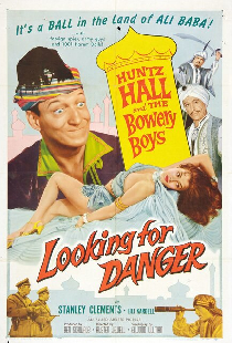 Looking for Danger