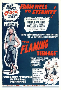 The Flaming Teenage