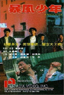 Bao feng shao nian