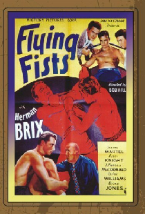 Flying Fists
