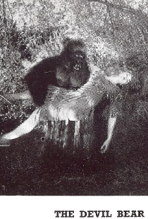 The Devil Bear