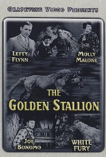 The Golden Stallion