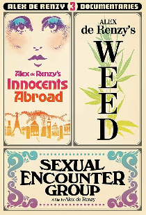 Sexual Encounter Group