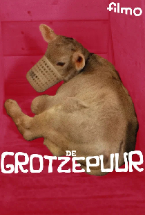 De grotzepuur