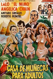 Casa de muñecas para adultos