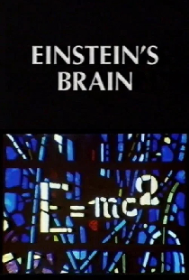 Relics: Einstein's Brain