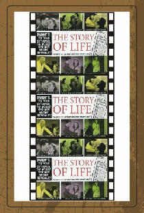 The Story of Life