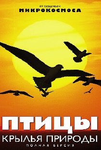 Птицы: Крылья природы