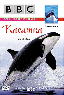 BBC: Касатка
