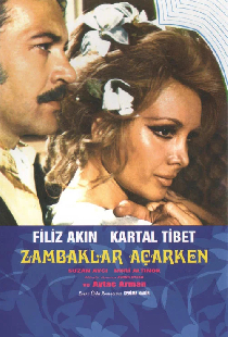 Zambaklar Açarken