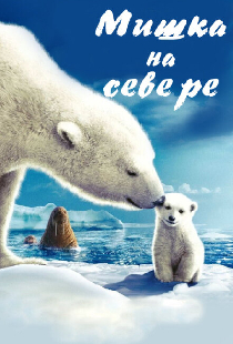 Мишка на Севере