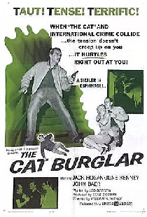 The Cat Burglar