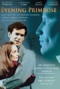 Вечерний первоцвет